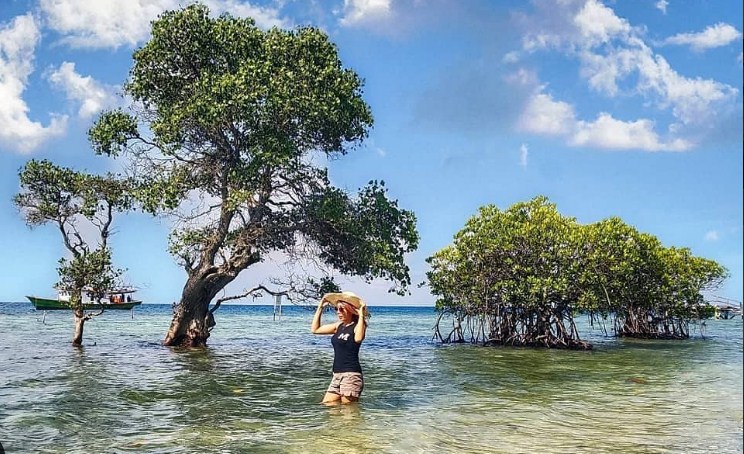 Wisata Pulau Tunda: Serpihan Surga Bahari Tersembunyi Dekat Jakarta